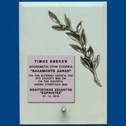 ΠΛΑΚΕΤΕΣ ΤΕ0204Α, 2 μεγέθη, από