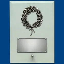 ΠΛΑΚΕΤΕΣ ΤΕ0206Α