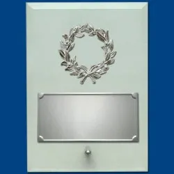 ΠΛΑΚΕΤΕΣ ΤΕ0207Α