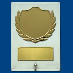 ΠΛΑΚΕΤΕΣ ΤΠ0359